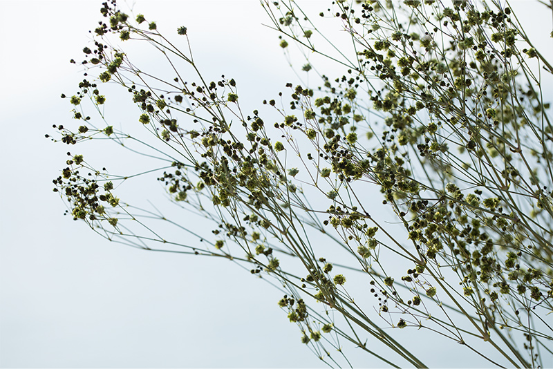 collection6th_image-02